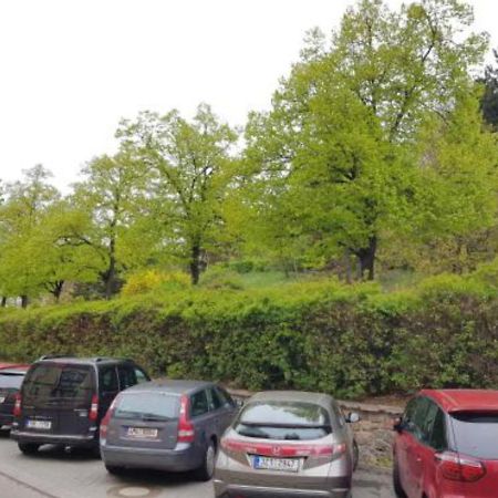 Old Town Apartment Pellicova Brno Ngoại thất bức ảnh