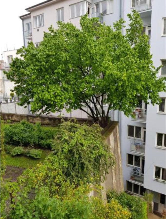 Old Town Apartment Pellicova Brno Ngoại thất bức ảnh