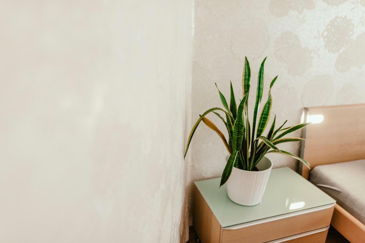 Old Town Apartment Pellicova Brno Ngoại thất bức ảnh
